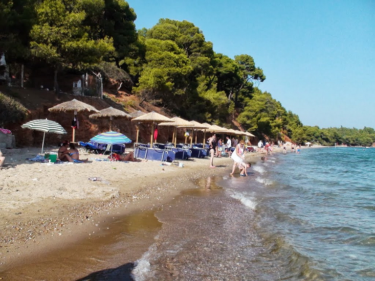  Metamorfosi, Sitonija 